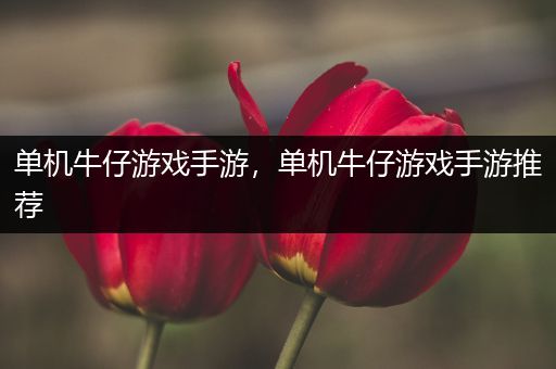 单机牛仔游戏手游，单机牛仔游戏手游推荐