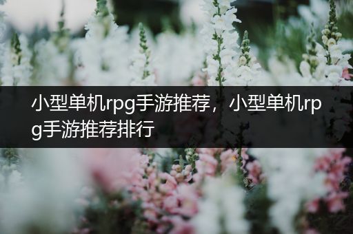 小型单机rpg手游推荐，小型单机rpg手游推荐排行