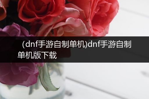 （dnf手游自制单机)dnf手游自制单机版下载