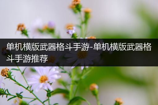 单机横版武器格斗手游-单机横版武器格斗手游推荐