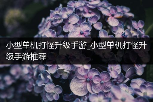 小型单机打怪升级手游_小型单机打怪升级手游推荐