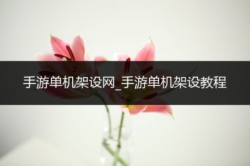 手游单机架设网_手游单机架设教程