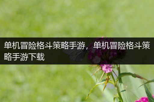 单机冒险格斗策略手游，单机冒险格斗策略手游下载