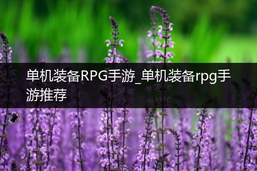 单机装备RPG手游_单机装备rpg手游推荐