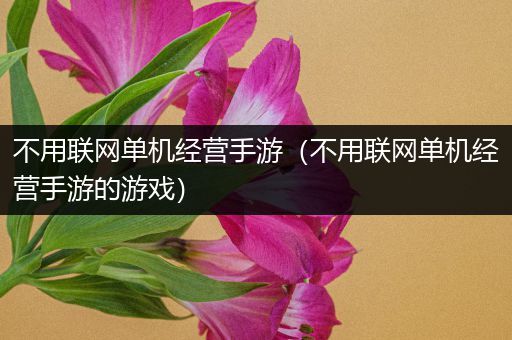 不用联网单机经营手游（不用联网单机经营手游的游戏）