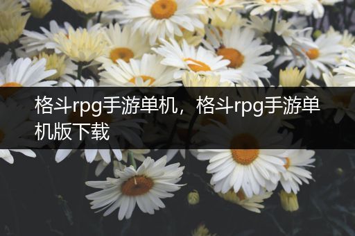 格斗rpg手游单机，格斗rpg手游单机版下载