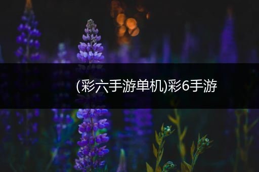 （彩六手游单机)彩6手游