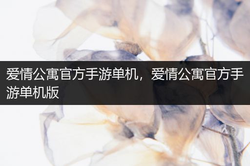 爱情公寓官方手游单机，爱情公寓官方手游单机版