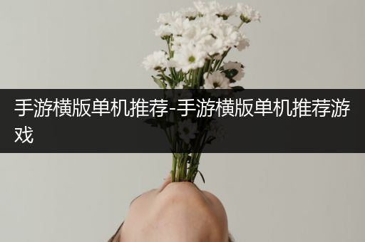 手游横版单机推荐-手游横版单机推荐游戏