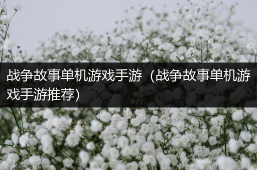 战争故事单机游戏手游（战争故事单机游戏手游推荐）