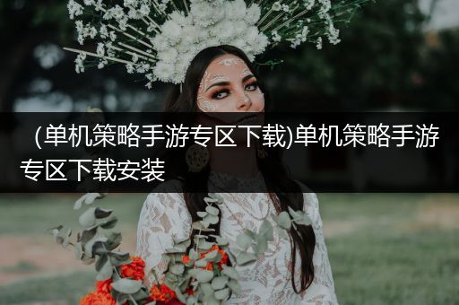 （单机策略手游专区下载)单机策略手游专区下载安装