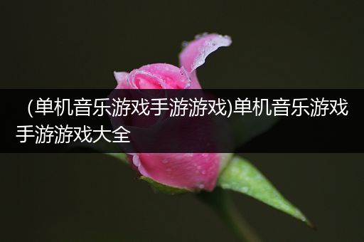 （单机音乐游戏手游游戏)单机音乐游戏手游游戏大全