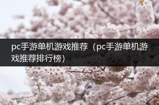 pc手游单机游戏推荐（pc手游单机游戏推荐排行榜）