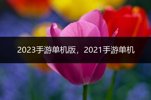 2023手游单机版，2021手游单机