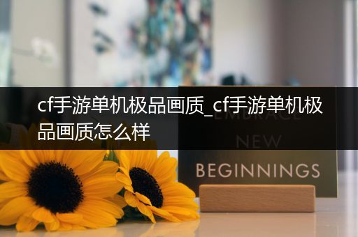 cf手游单机极品画质_cf手游单机极品画质怎么样