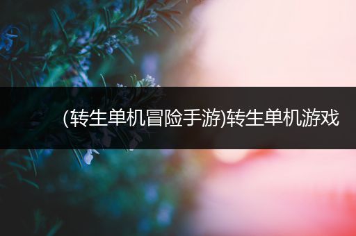 （转生单机冒险手游)转生单机游戏