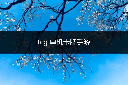 tcg 单机卡牌手游