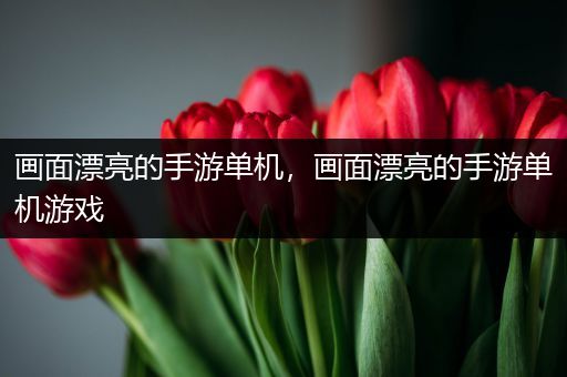 画面漂亮的手游单机，画面漂亮的手游单机游戏