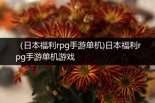 （日本福利rpg手游单机)日本福利rpg手游单机游戏