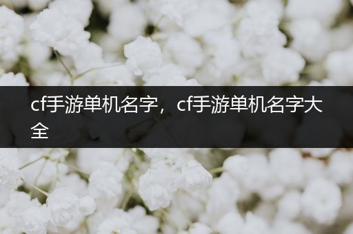 cf手游单机名字，cf手游单机名字大全