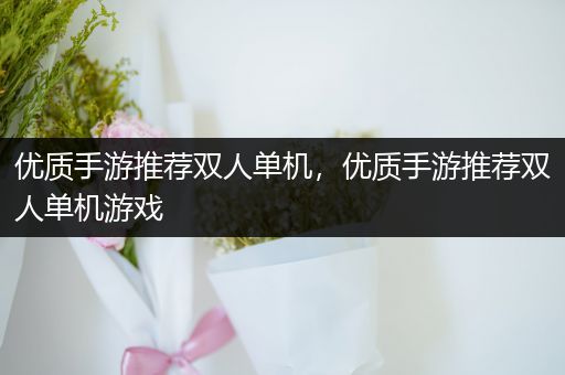 优质手游推荐双人单机，优质手游推荐双人单机游戏