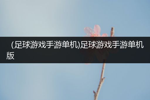 （足球游戏手游单机)足球游戏手游单机版