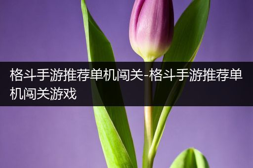 格斗手游推荐单机闯关-格斗手游推荐单机闯关游戏