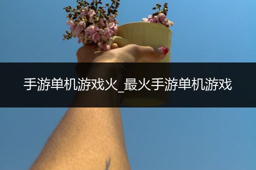 手游单机游戏火_最火手游单机游戏