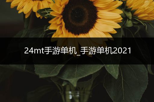 24mt手游单机_手游单机2021