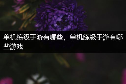 单机练级手游有哪些，单机练级手游有哪些游戏