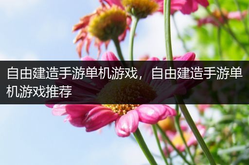 自由建造手游单机游戏，自由建造手游单机游戏推荐