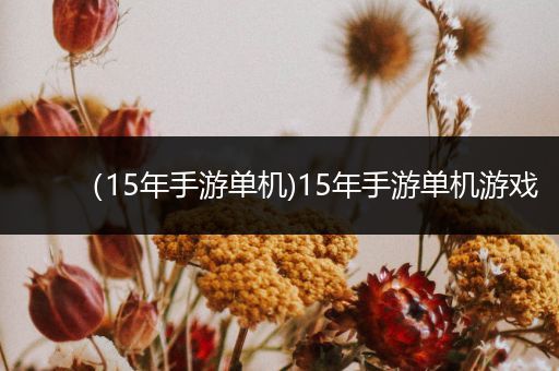 （15年手游单机)15年手游单机游戏