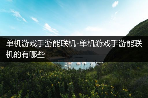 单机游戏手游能联机-单机游戏手游能联机的有哪些