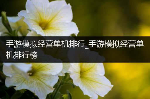 手游模拟经营单机排行_手游模拟经营单机排行榜