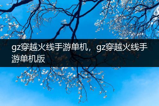 gz穿越火线手游单机，gz穿越火线手游单机版