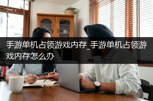 手游单机占领游戏内存_手游单机占领游戏内存怎么办