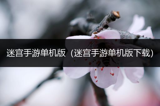 迷宫手游单机版（迷宫手游单机版下载）