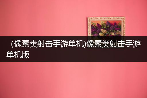 （像素类射击手游单机)像素类射击手游单机版