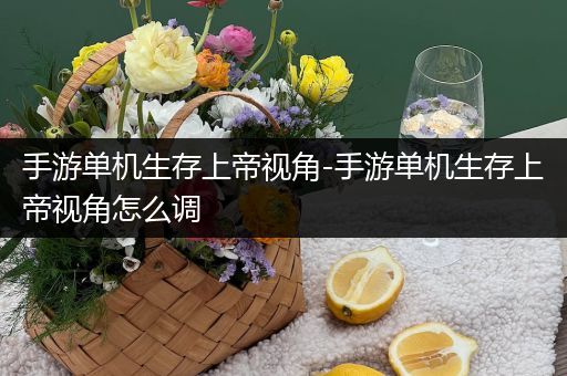 手游单机生存上帝视角-手游单机生存上帝视角怎么调