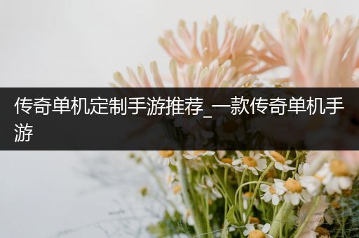 传奇单机定制手游推荐_一款传奇单机手游