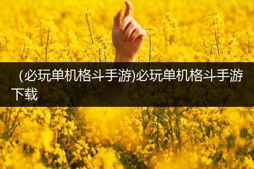 （必玩单机格斗手游)必玩单机格斗手游下载