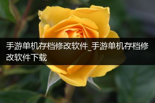 手游单机存档修改软件_手游单机存档修改软件下载