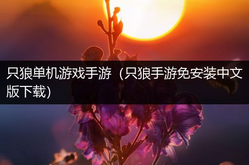 只狼单机游戏手游（只狼手游免安装中文版下载）