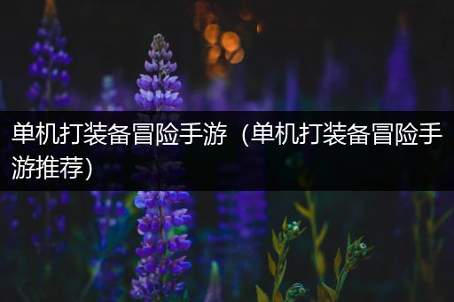 单机打装备冒险手游（单机打装备冒险手游推荐）