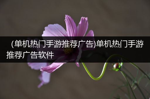 （单机热门手游推荐广告)单机热门手游推荐广告软件