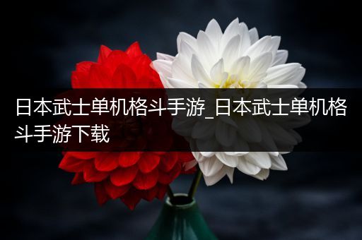 日本武士单机格斗手游_日本武士单机格斗手游下载