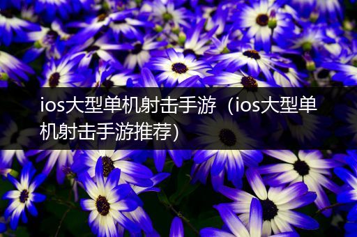 ios大型单机射击手游（ios大型单机射击手游推荐）