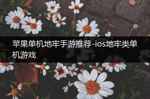 苹果单机地牢手游推荐-ios地牢类单机游戏