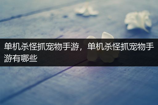 单机杀怪抓宠物手游，单机杀怪抓宠物手游有哪些