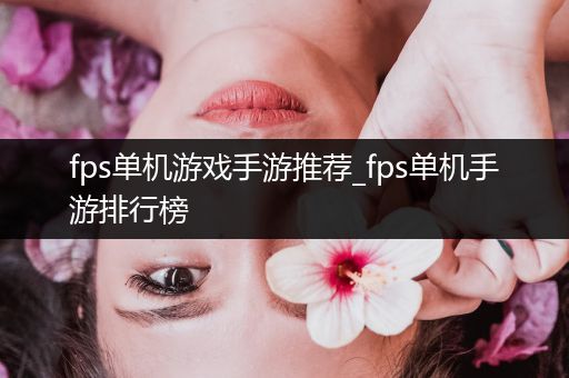 fps单机游戏手游推荐_fps单机手游排行榜